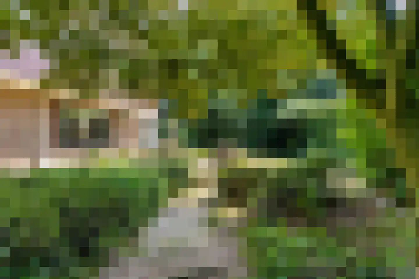 Valkenierspad 6 Rozendaal thumbnail 36
