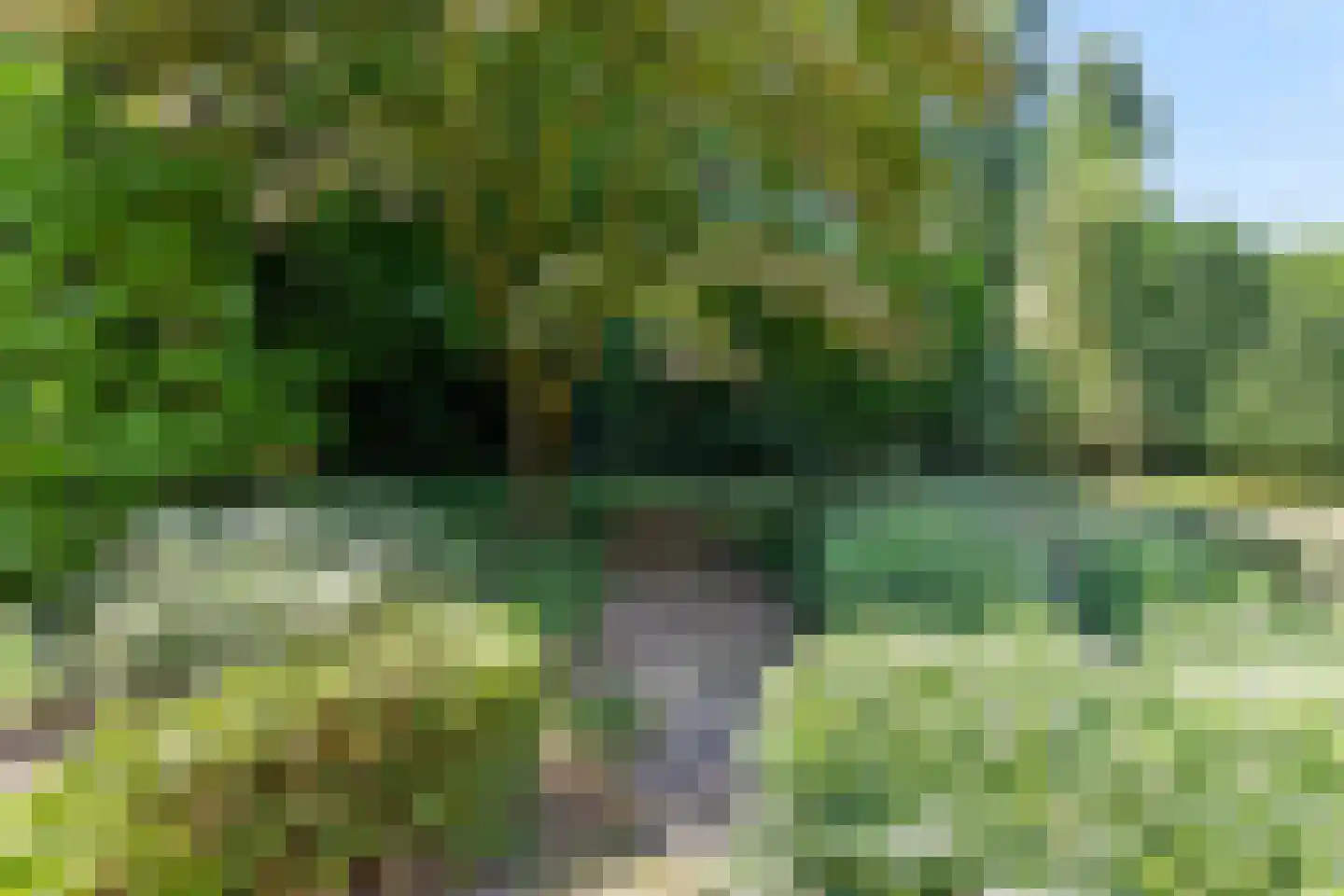 Valkenierspad 6 Rozendaal thumbnail 37