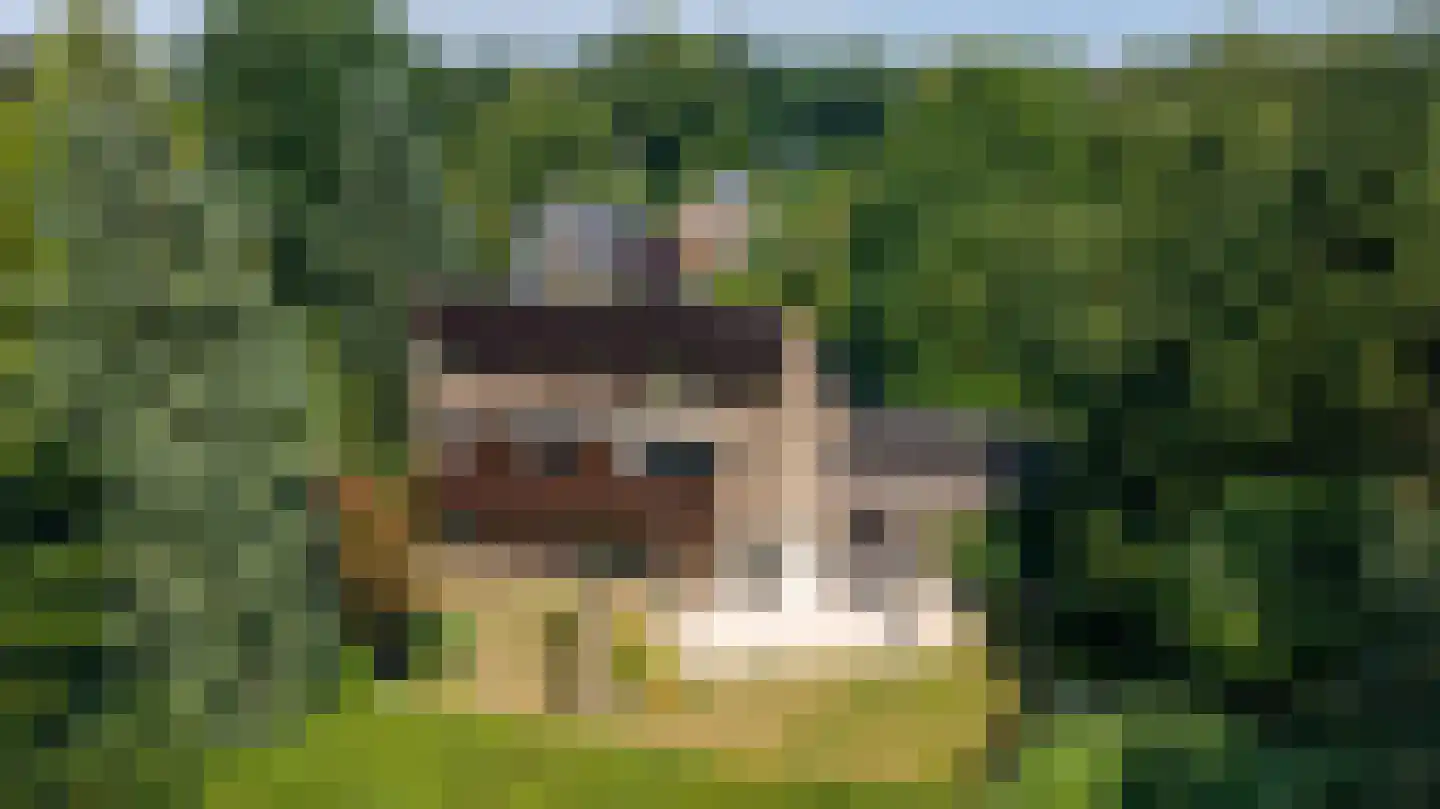 Valkenierspad 6 Rozendaal thumbnail 40