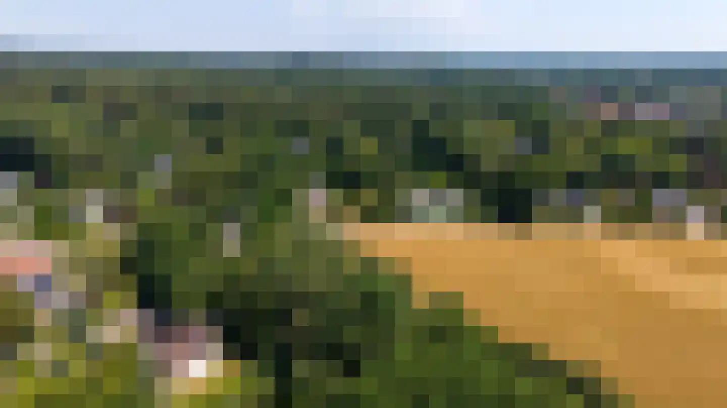 Valkenierspad 6 Rozendaal thumbnail 41