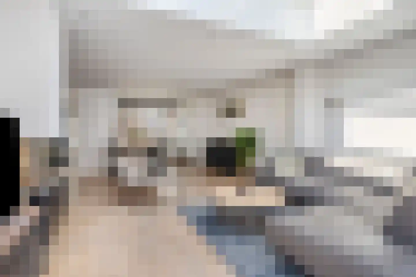 Valkenierstraat 13 Maastricht thumbnail 8