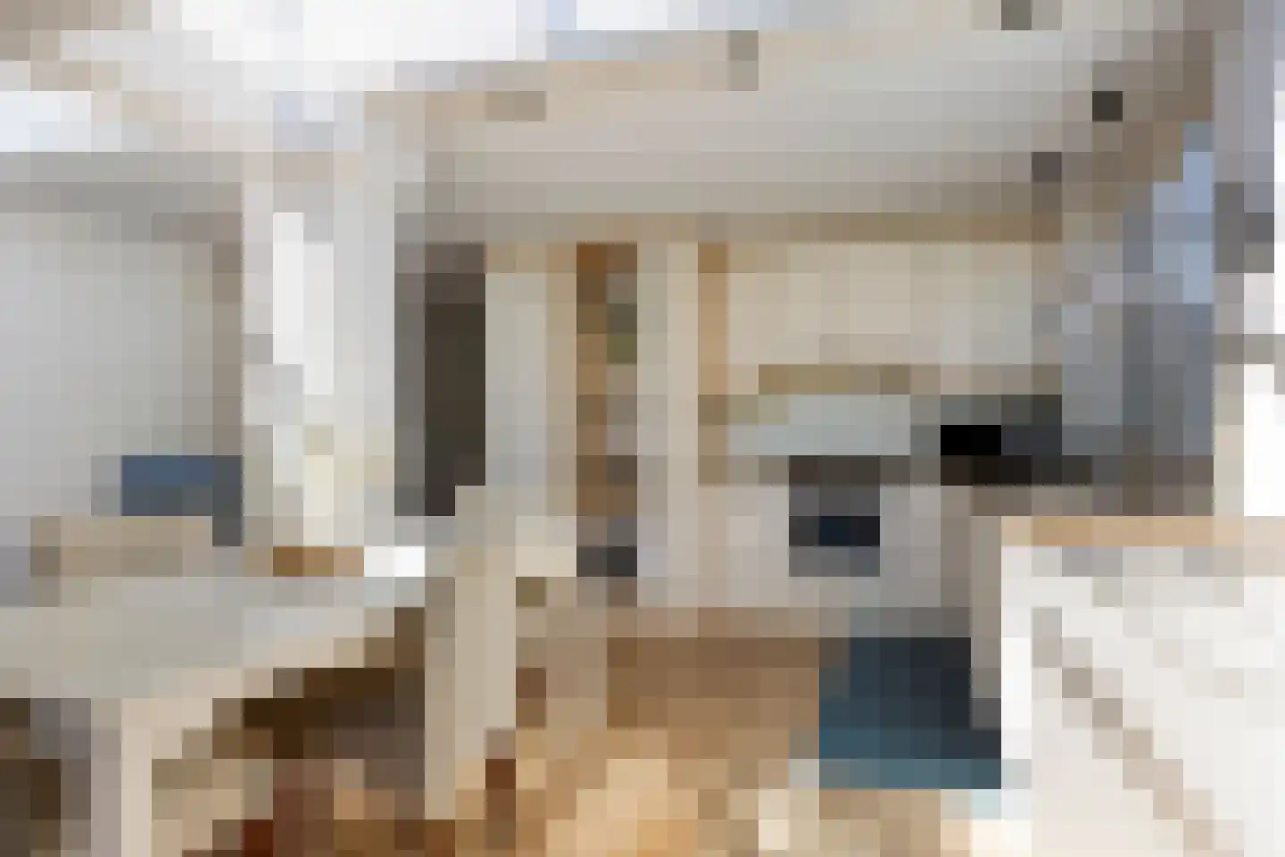Valkenierstraat 2 A Alkmaar thumbnail 8