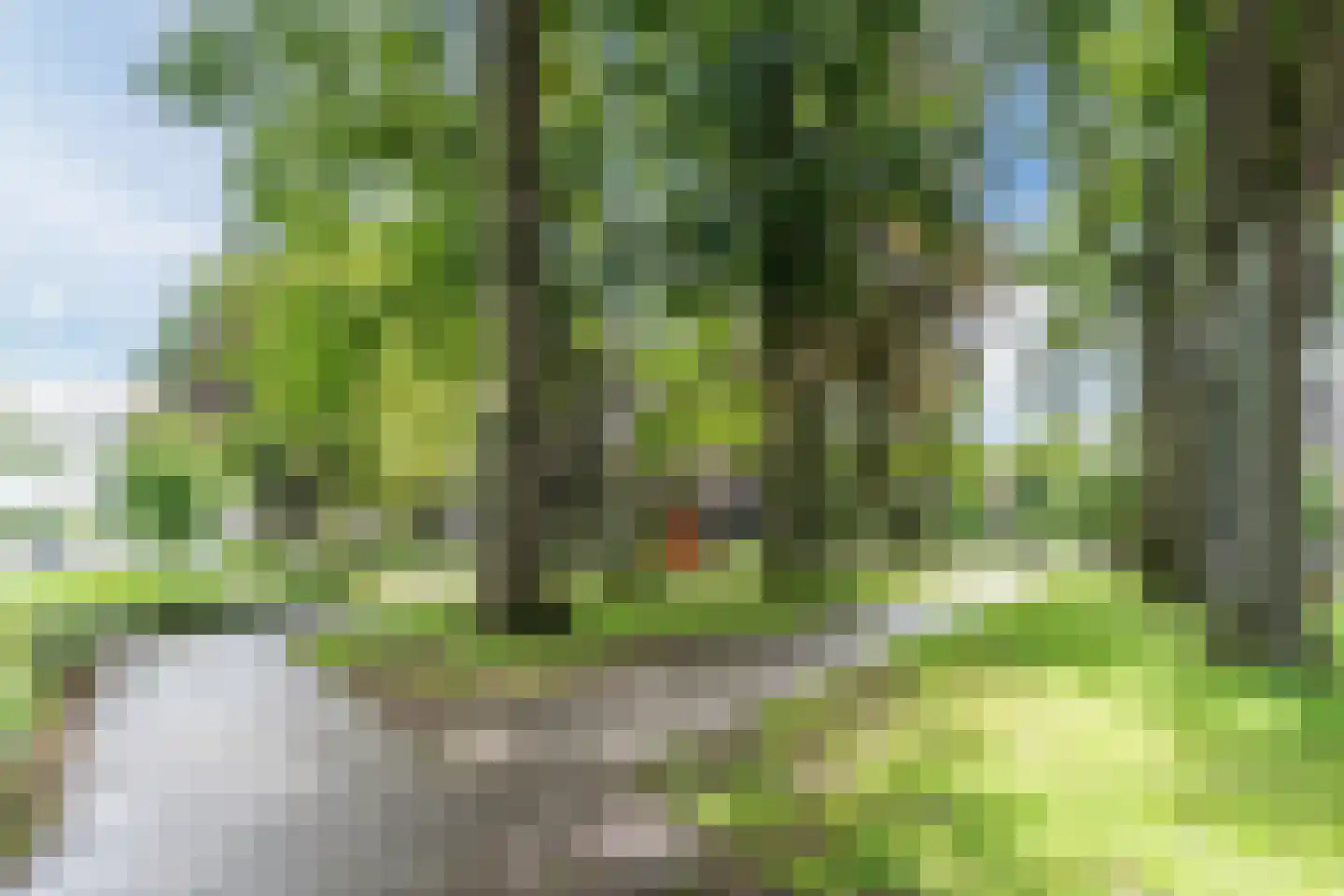 Valkenierstraat 21 Valkenswaard thumbnail 23