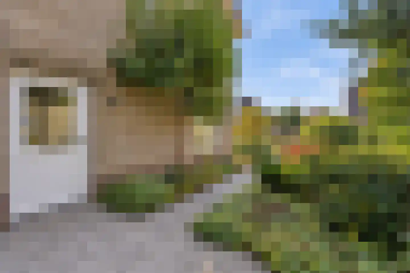 Valkenierstraat 219 Valkenswaard thumbnail 9