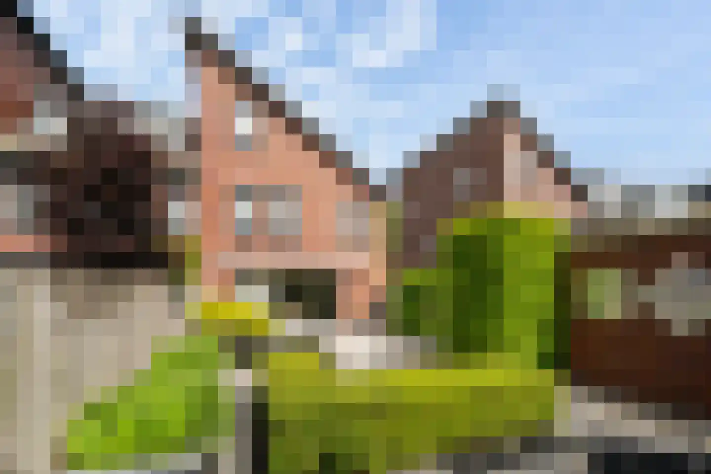 Valkenierstraat 22 's-Gravenzande thumbnail 15