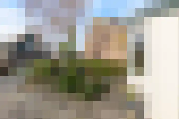 Valkenierstraat 32 Alkmaar thumbnail 4