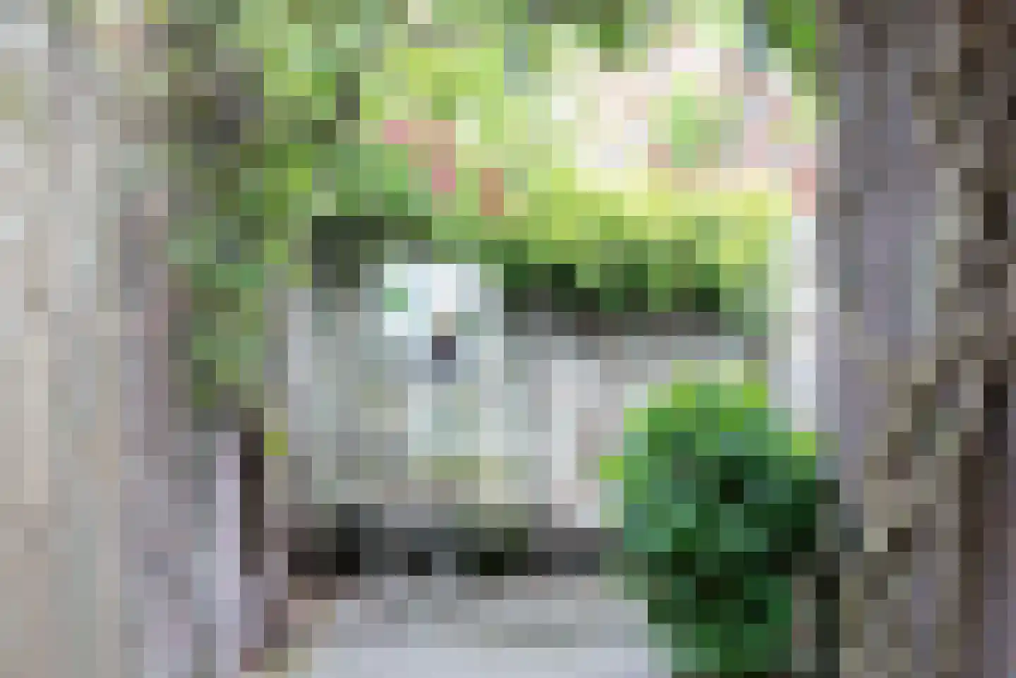 Valkenierstraat 34 Tilburg thumbnail 31