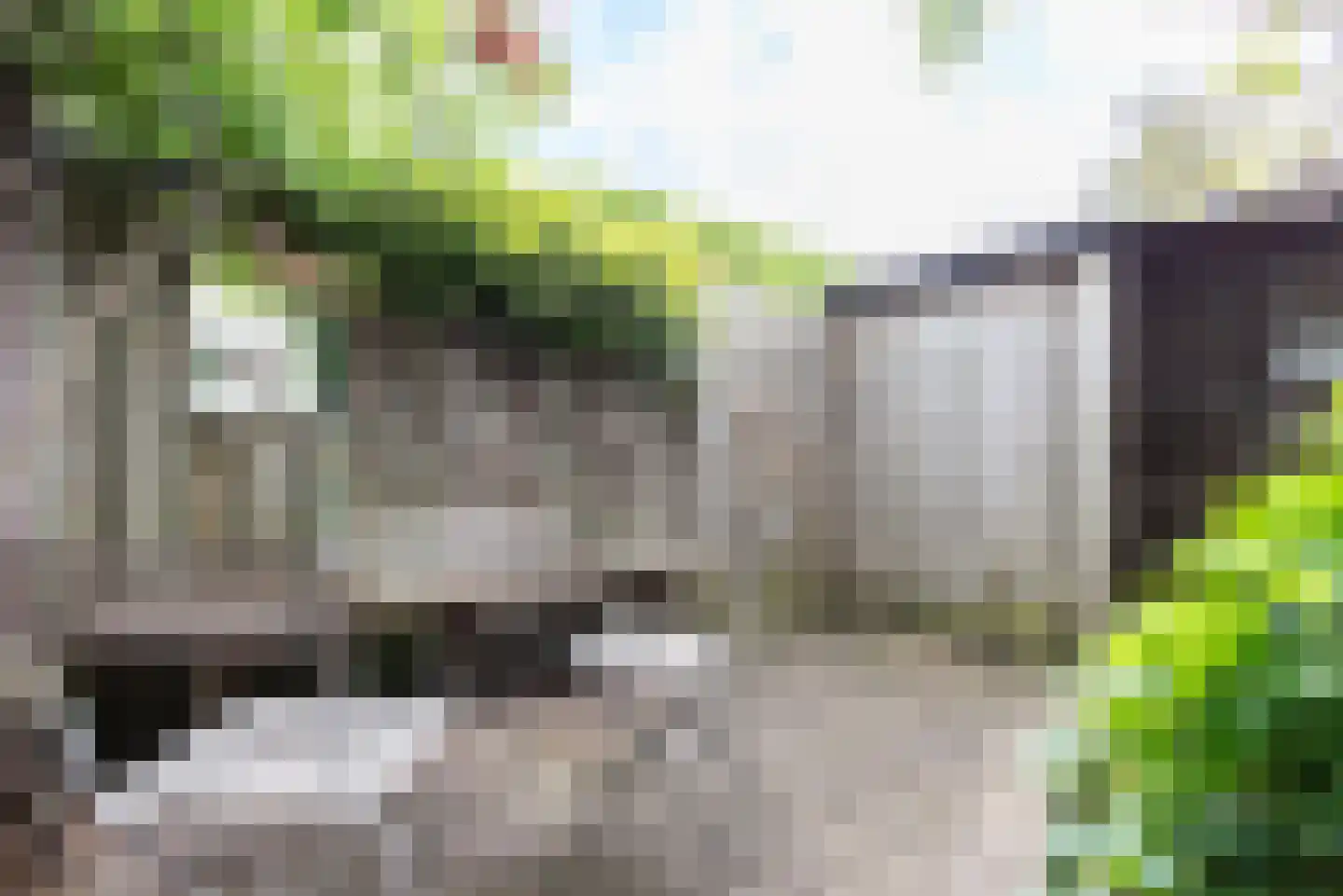 Valkenierstraat 34 Tilburg thumbnail 34