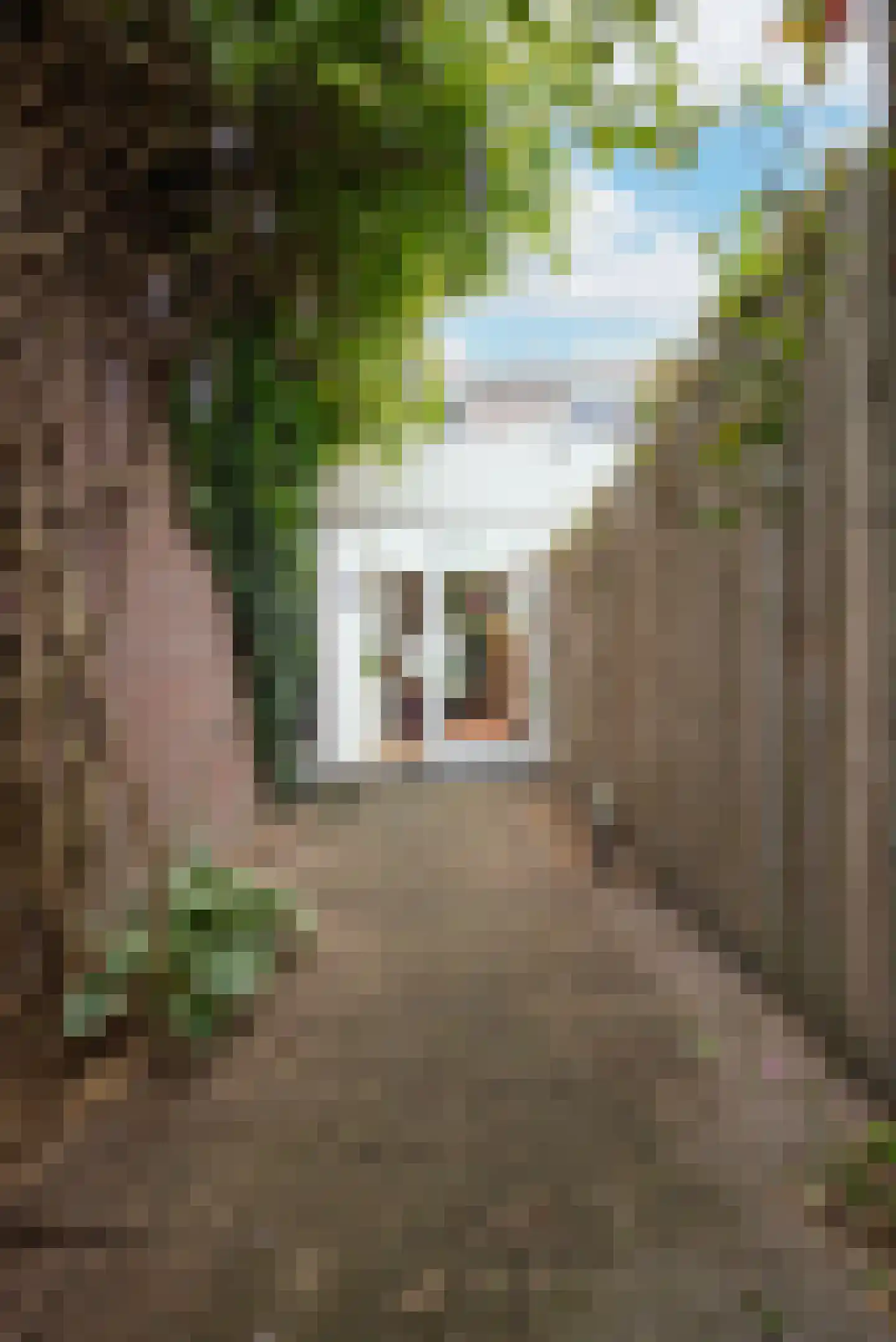 Valkenierstraat 34 Tilburg thumbnail 35