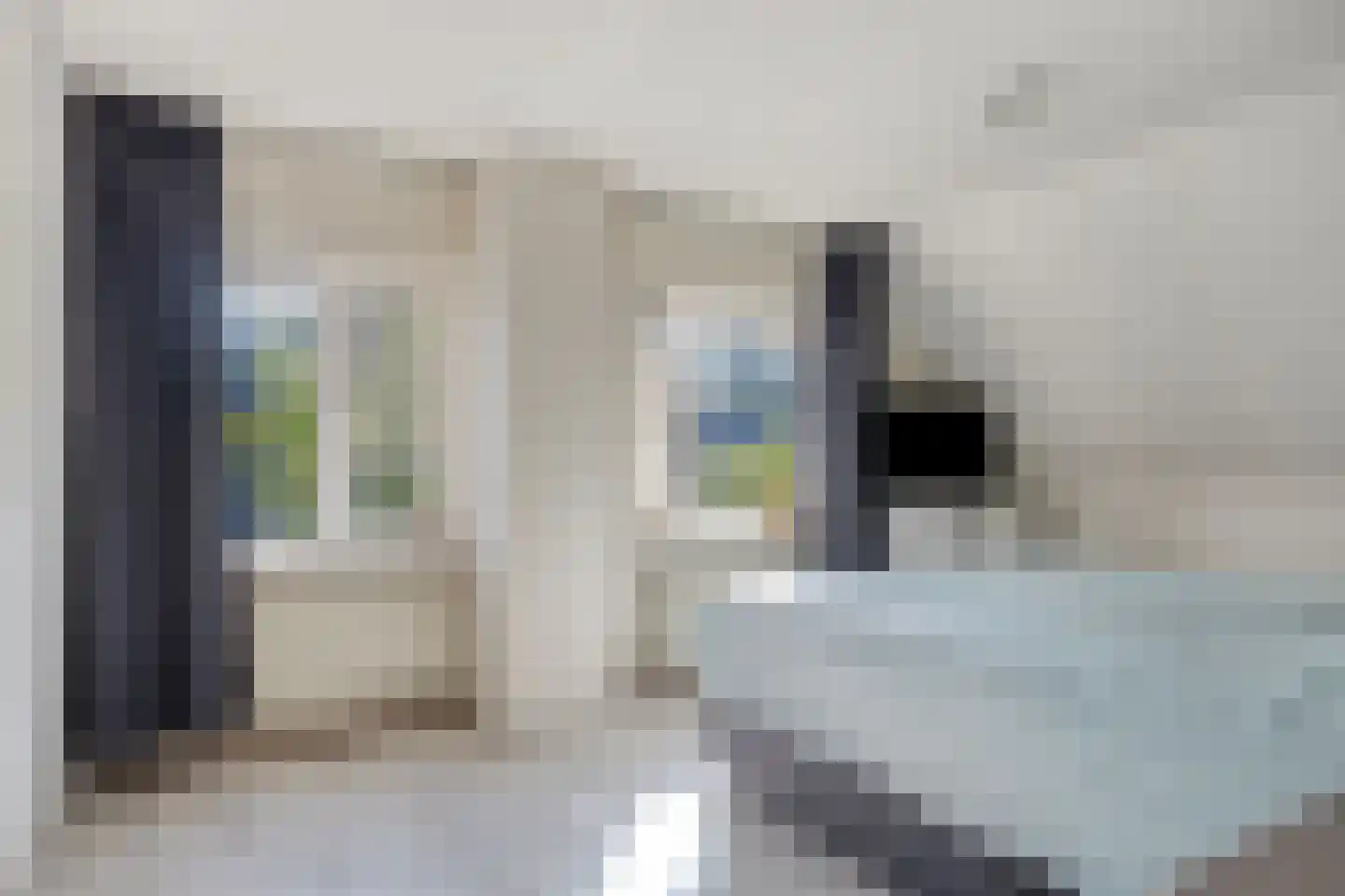 Valkenierstraat 37 Alkmaar thumbnail 31