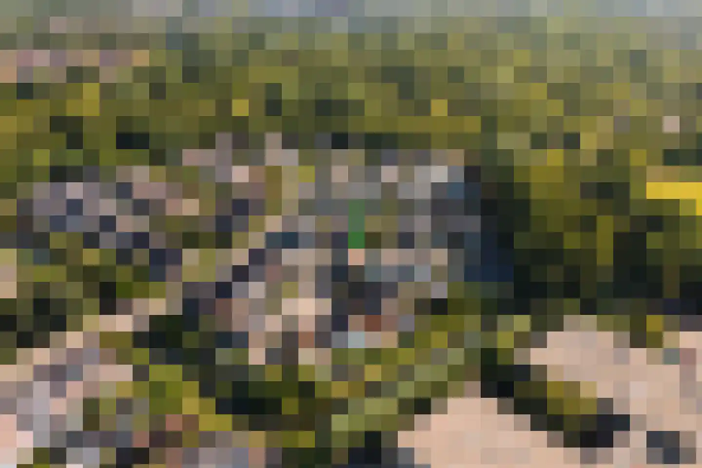 Valkenierstraat 37 Alkmaar thumbnail 49