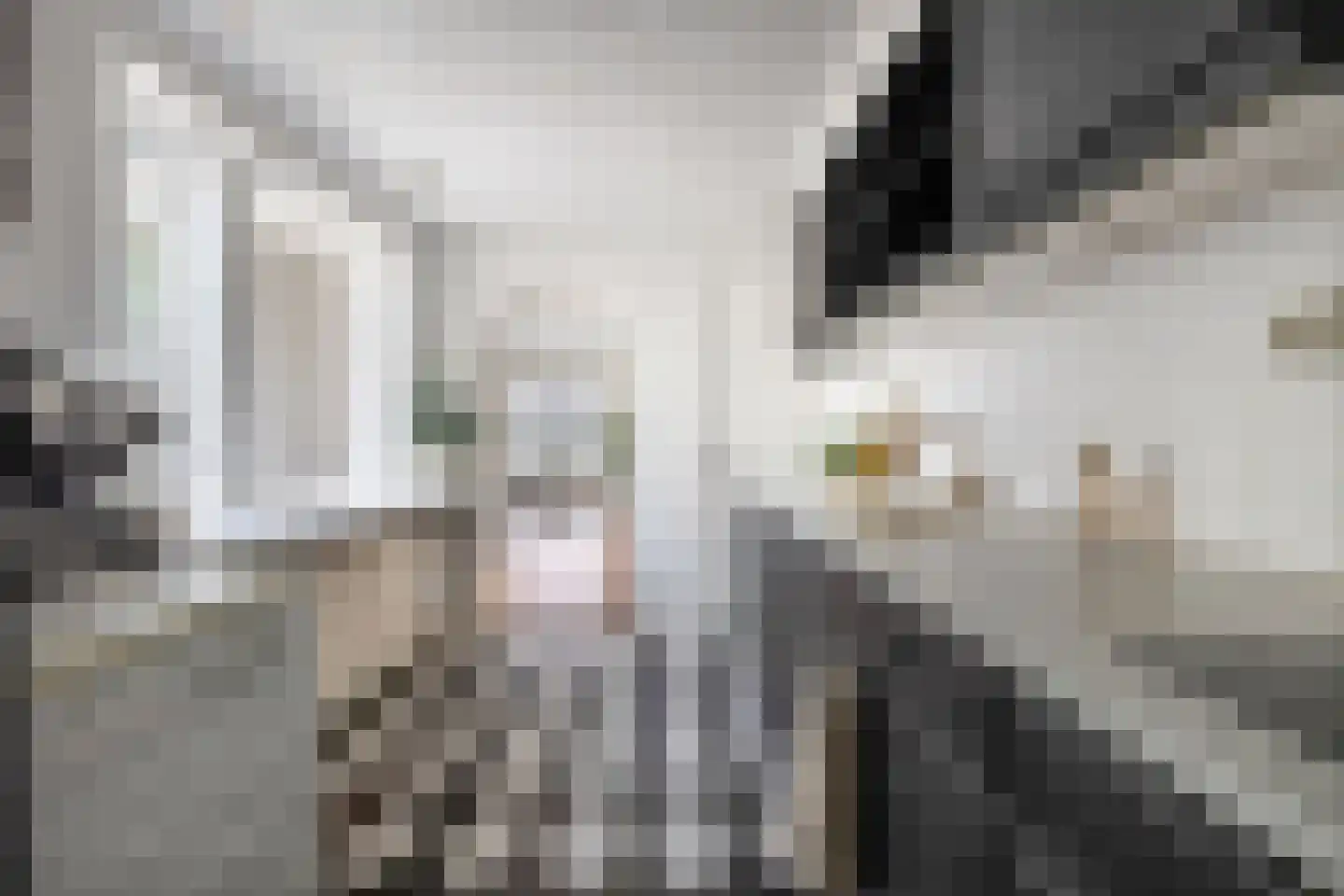 Valkenierstraat 37 Tilburg thumbnail 19