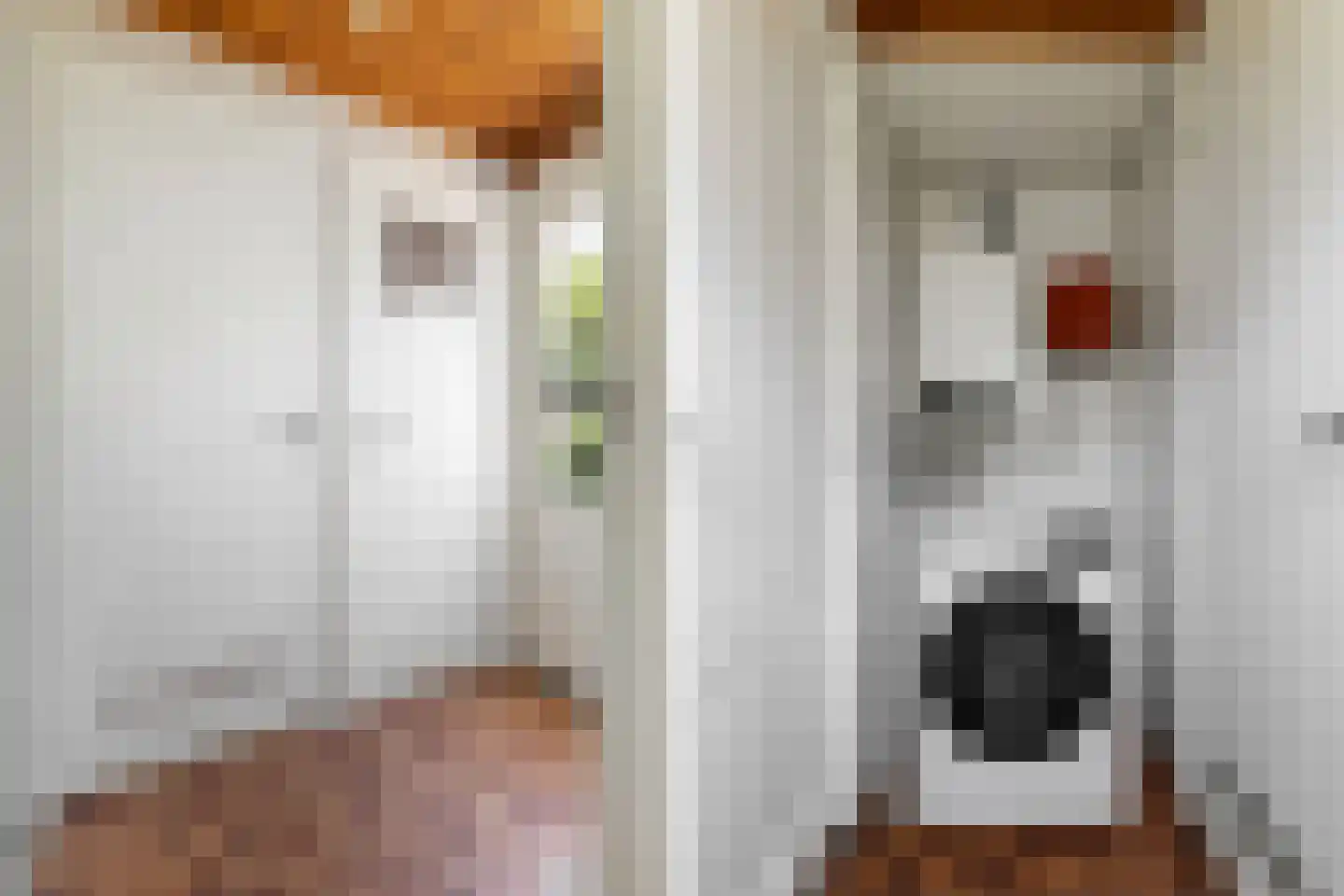 Valkenierstraat 37 Tilburg thumbnail 21