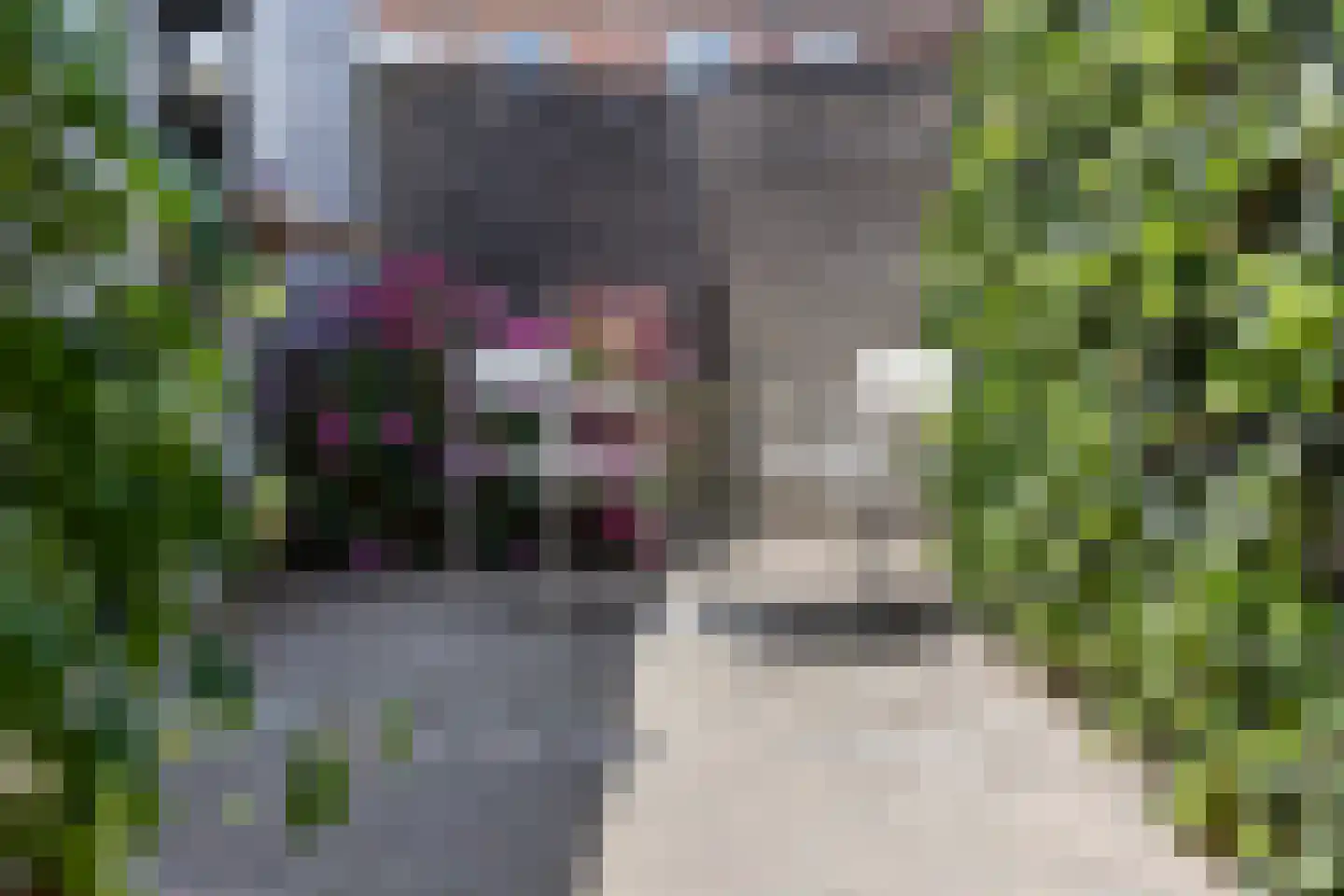 Valkenierstraat 37 Tilburg thumbnail 40