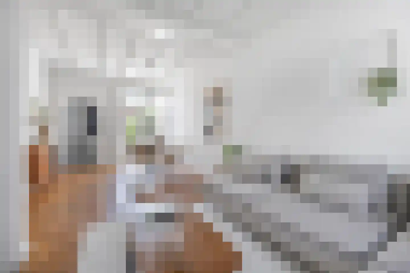 Valkenierstraat 37 Tilburg thumbnail 7