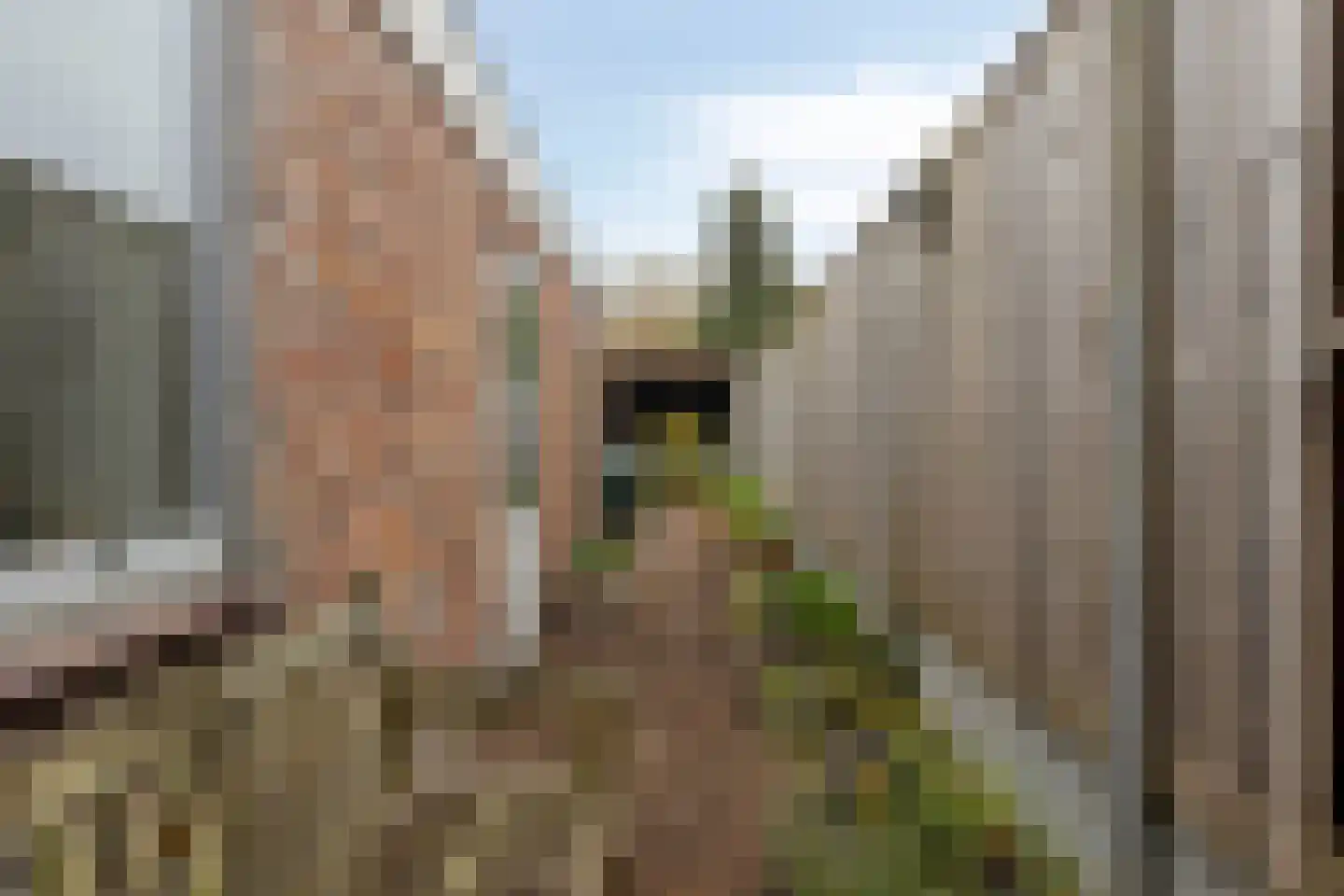 Valkenierstraat 68 Tilburg thumbnail 28