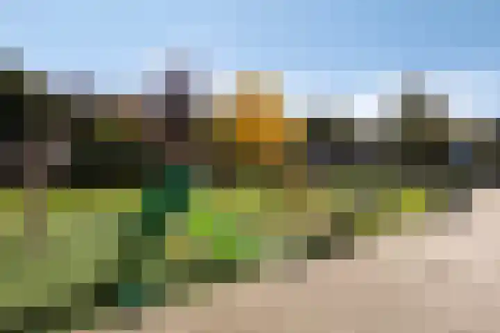 Valkenierstraat 7 Tilburg thumbnail 35