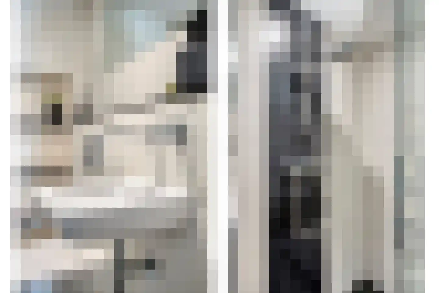 Valkenierstraat 71 Tilburg thumbnail 37