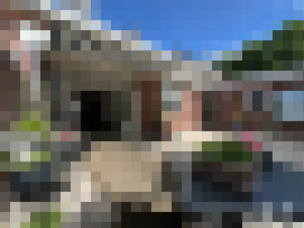Valkenierstraat 96 Valkenswaard thumbnail 34