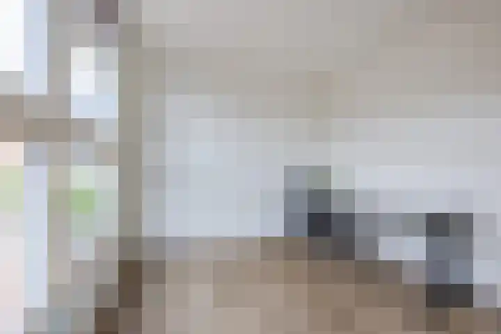 Valkeniersweg 79 D Rotterdam thumbnail 22