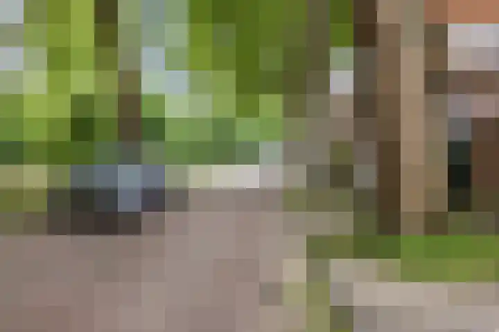 Valkeniersweg 79 D Rotterdam thumbnail 28