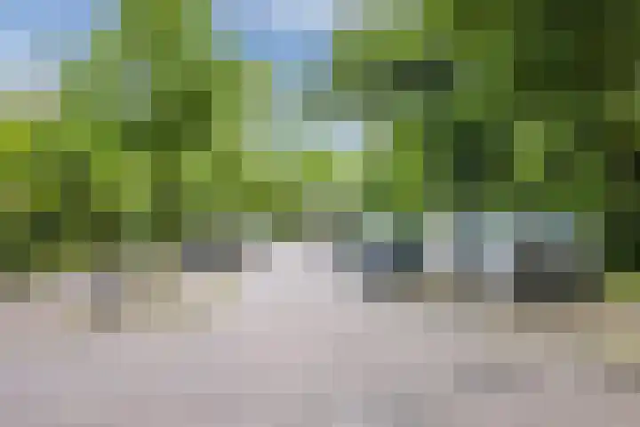 Valkeniersweg 79 D Rotterdam thumbnail 29