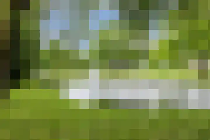 Valkeniersweg 79 D Rotterdam thumbnail 30