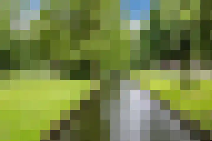 Valkeniersweg 79 D Rotterdam thumbnail 31