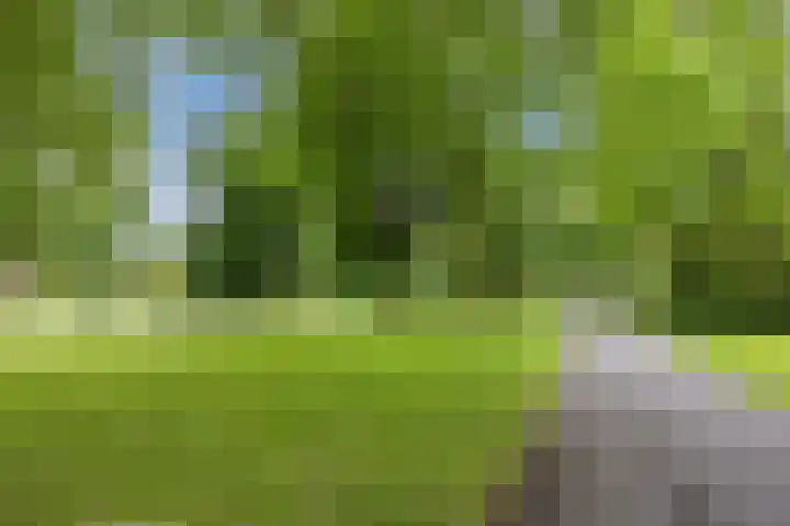 Valkeniersweg 79 D Rotterdam thumbnail 32