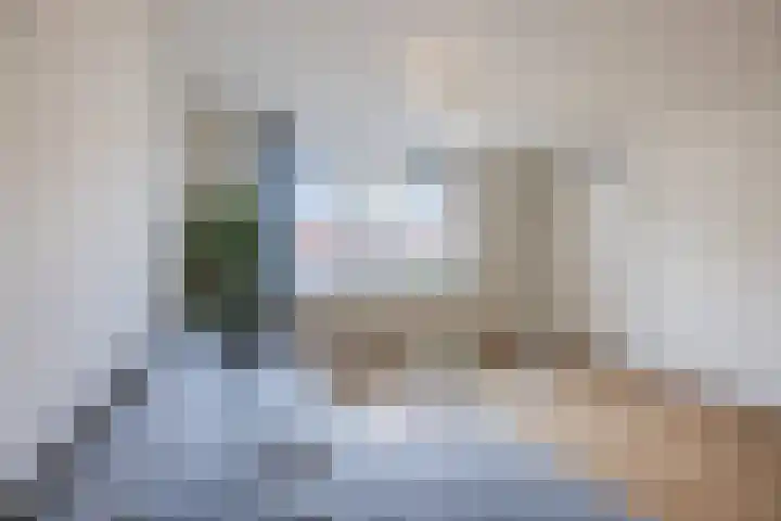 Valkeniersweg 79 D Rotterdam thumbnail 4