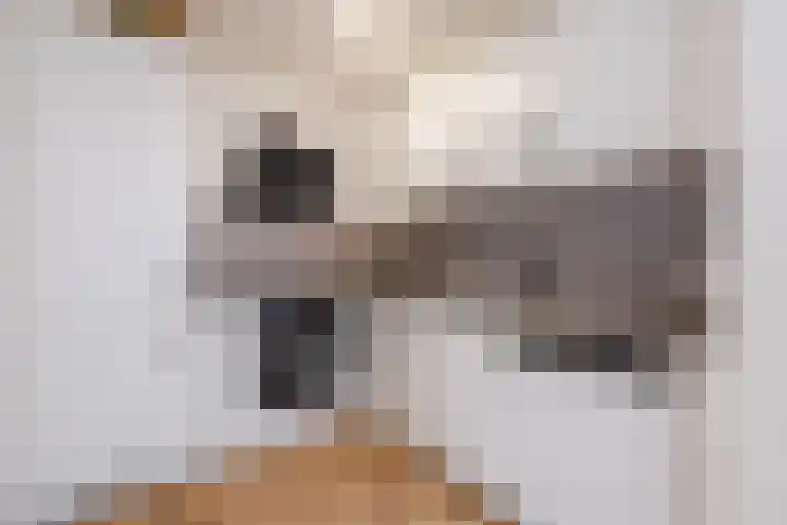 Valkeniersweg 79 D Rotterdam thumbnail 7