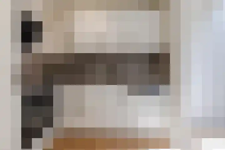 Valkeniersweg 79 D Rotterdam thumbnail 8