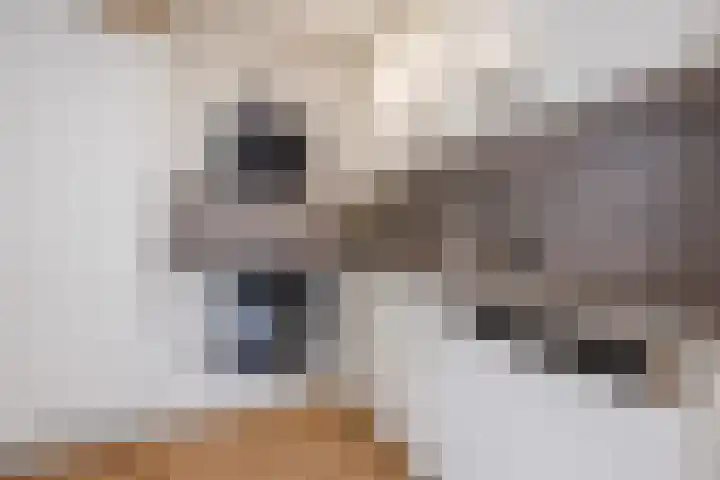 Valkeniersweg 79 D Rotterdam thumbnail 9