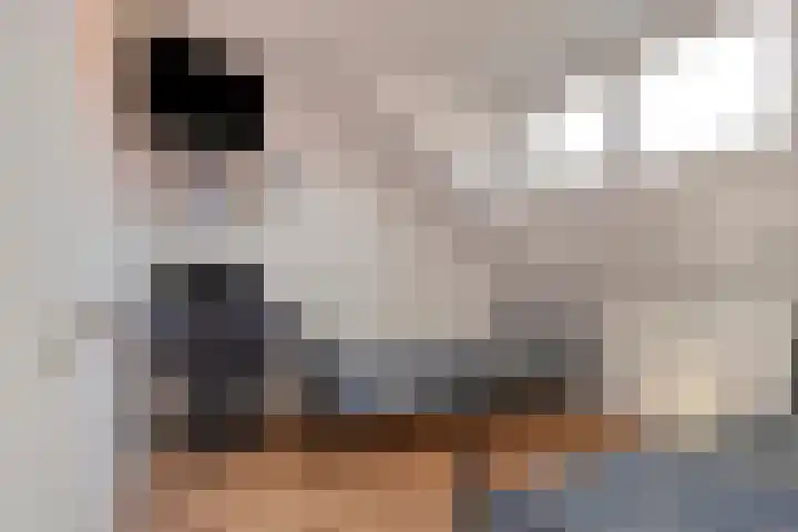 Valkeniersweg 79 K Rotterdam thumbnail 15