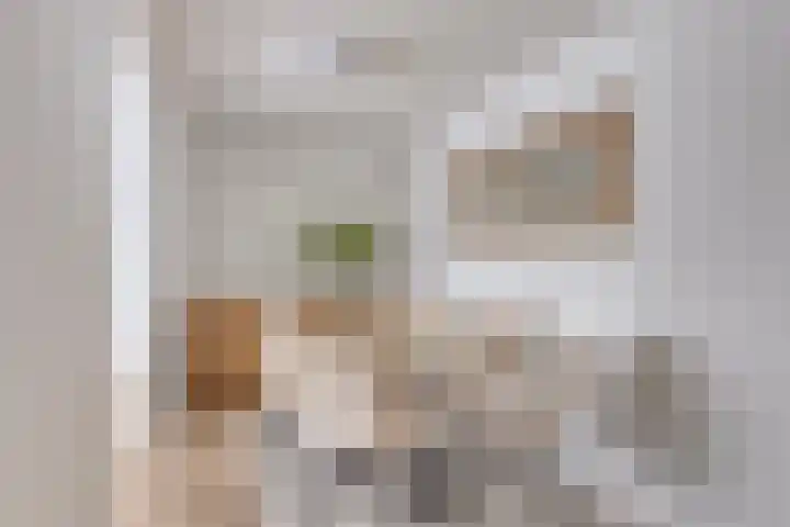 Valkeniersweg 79 K Rotterdam thumbnail 7