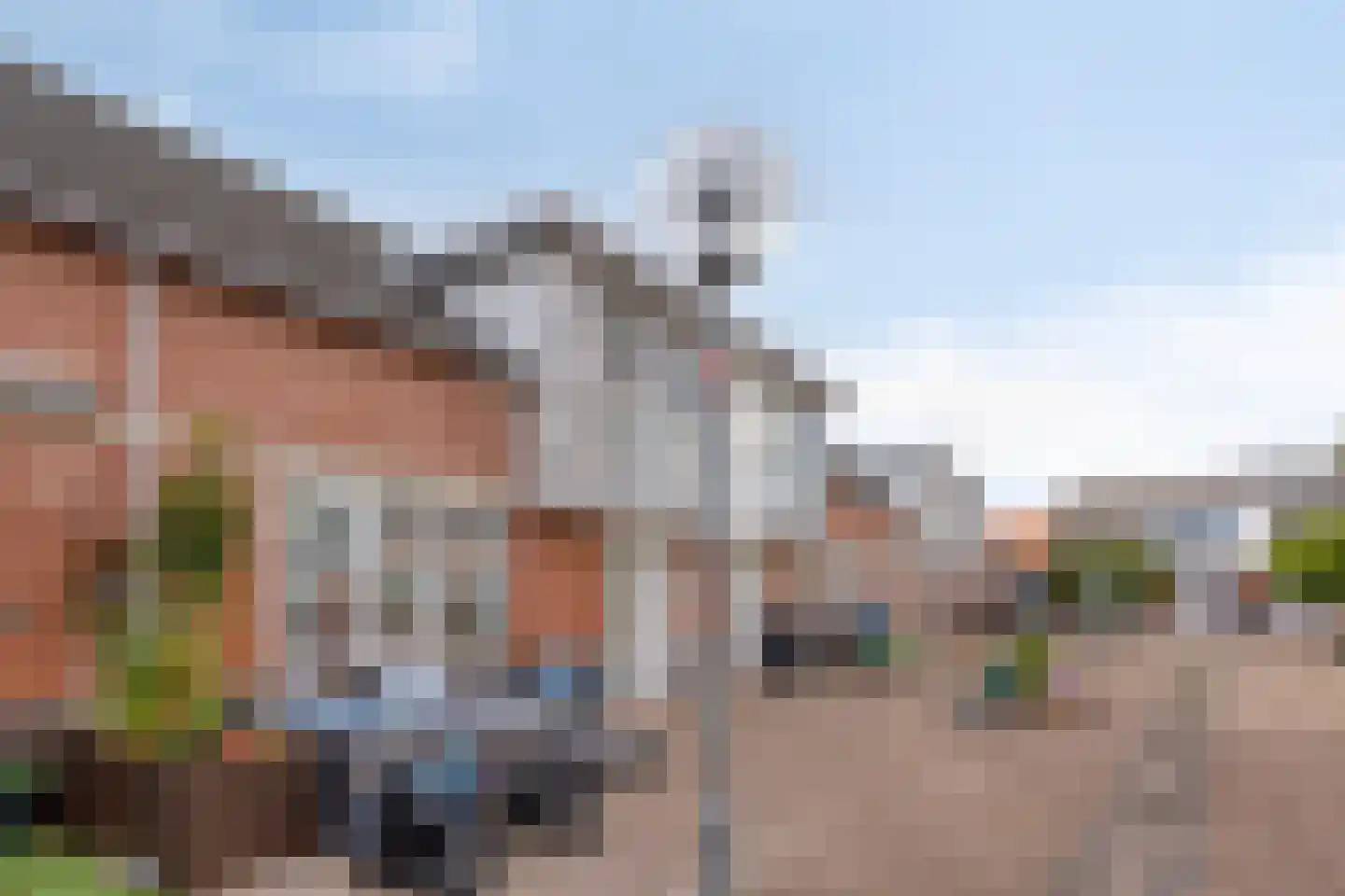 Valkeniersweg 79 Q Rotterdam thumbnail 23