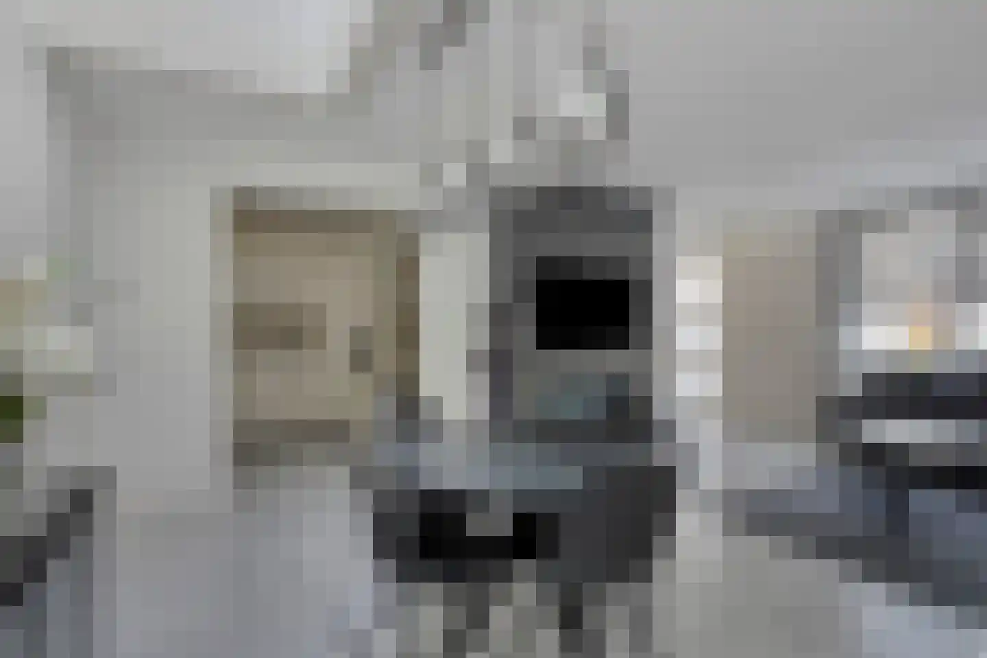 Valkeniersweg 79 Q Rotterdam thumbnail 5