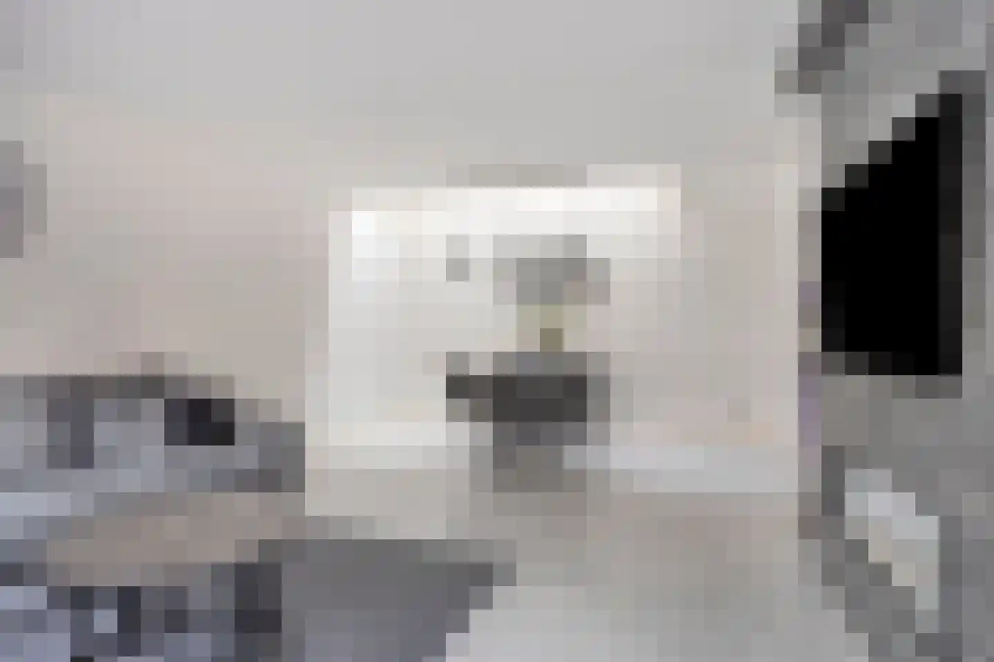Valkeniersweg 79 Q Rotterdam thumbnail 7