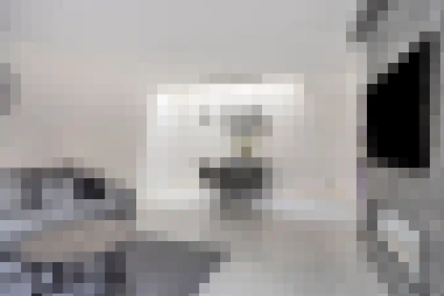Valkeniersweg 79 Q Rotterdam thumbnail 7
