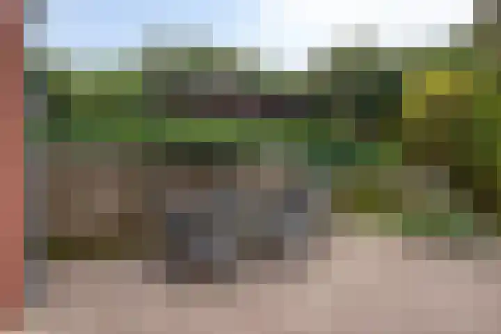 Valkenisseweg 100 Biggekerke thumbnail 11