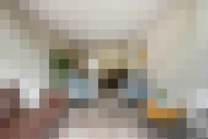 Valkenisseweg 100 Biggekerke thumbnail 12