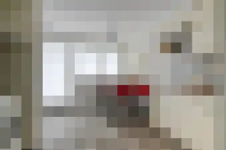 Valkenisseweg 100 Biggekerke thumbnail 14