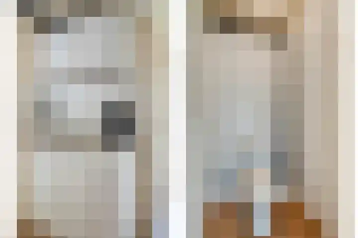 Valkenisseweg 100 Biggekerke thumbnail 17