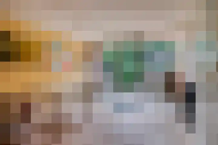 Valkenisseweg 100 Biggekerke thumbnail 19