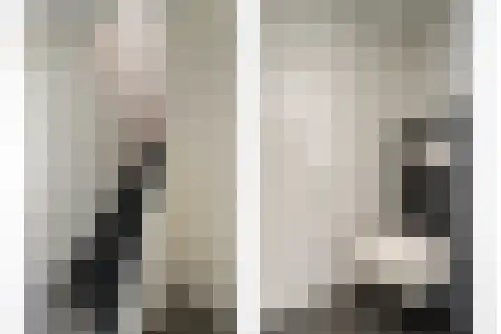 Valkenisseweg 100 Biggekerke thumbnail 21