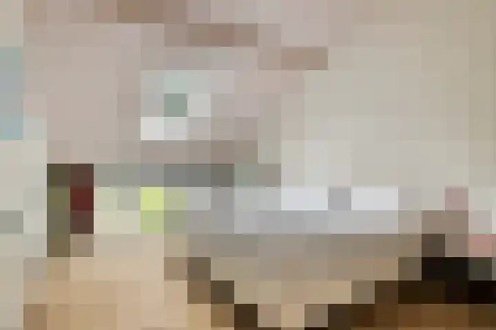 Valkenisseweg 100 Biggekerke thumbnail 22