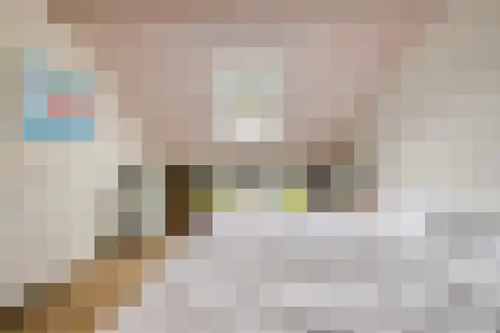 Valkenisseweg 100 Biggekerke thumbnail 23