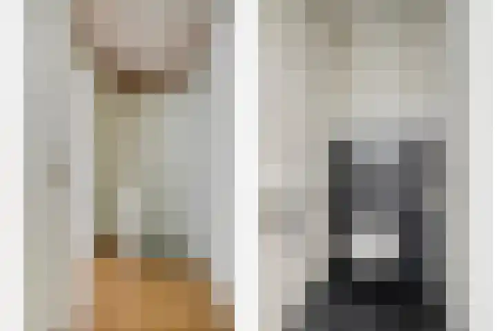 Valkenisseweg 100 Biggekerke thumbnail 24