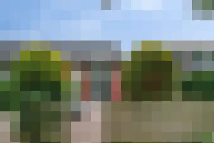 Valkenisseweg 100 Biggekerke thumbnail 31