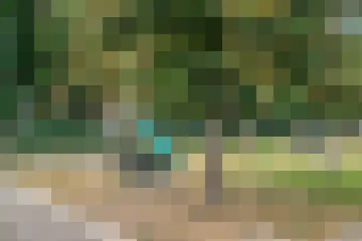 Valkenisseweg 100 Biggekerke thumbnail 32